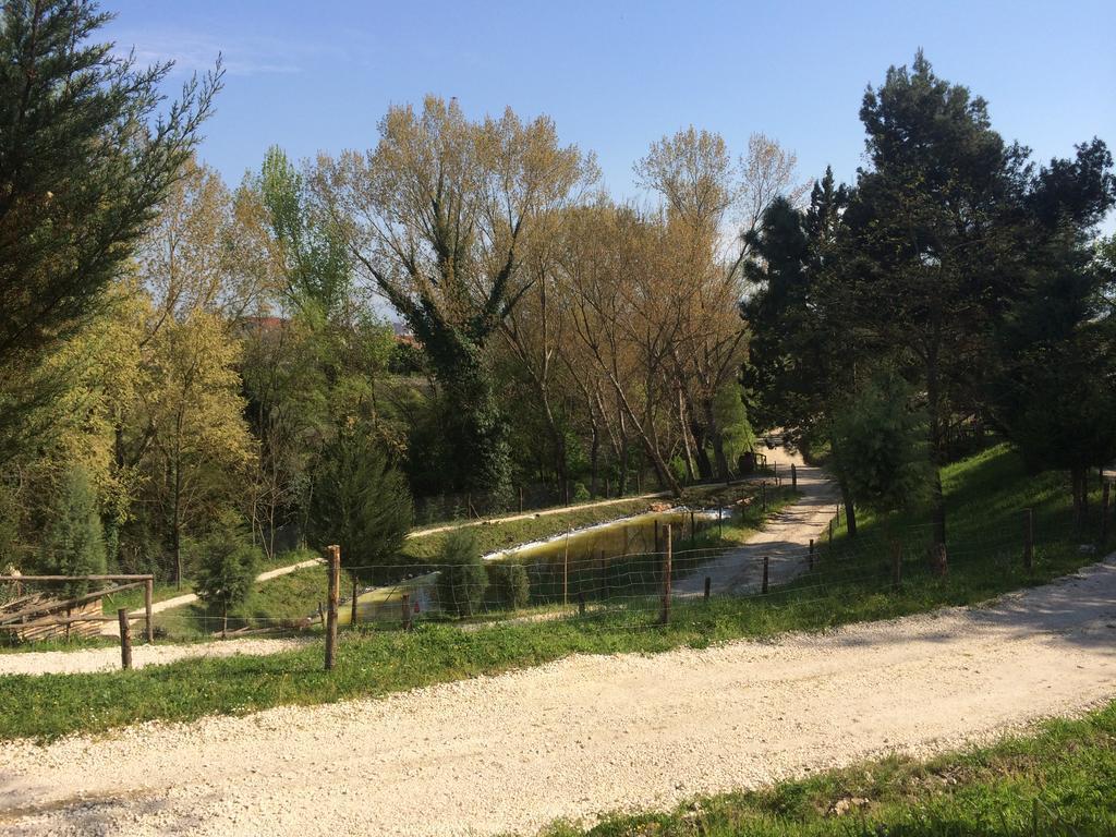 בנוונטו Hotel D.G. Garden מראה חיצוני תמונה